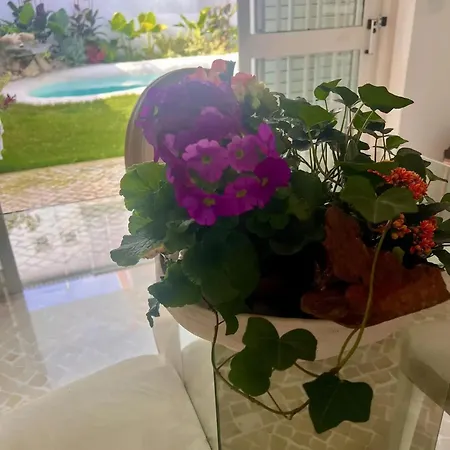 Βίλα Spacious With Pool In De Caparica_22 *